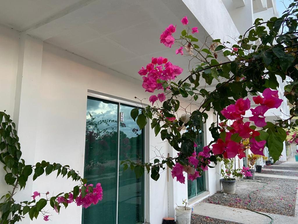 Solar Teixeira Flats Hotel Pôrto das Galinhas Екстериор снимка