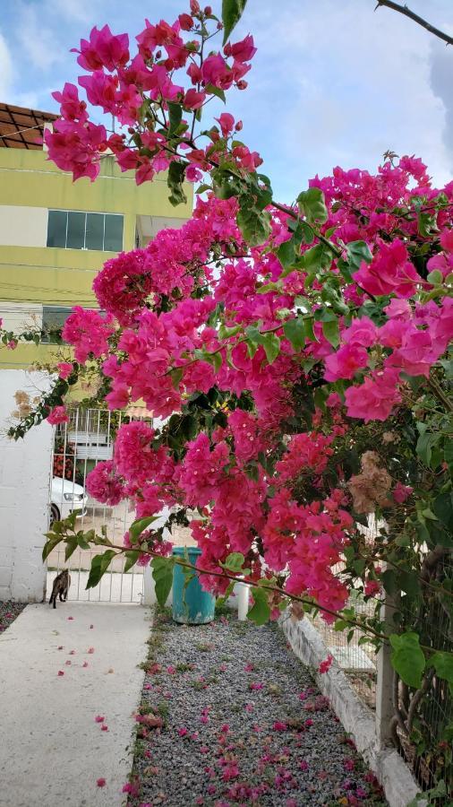 Solar Teixeira Flats Hotel Pôrto das Galinhas Екстериор снимка